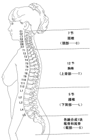 微信图片_20210217152749.png
